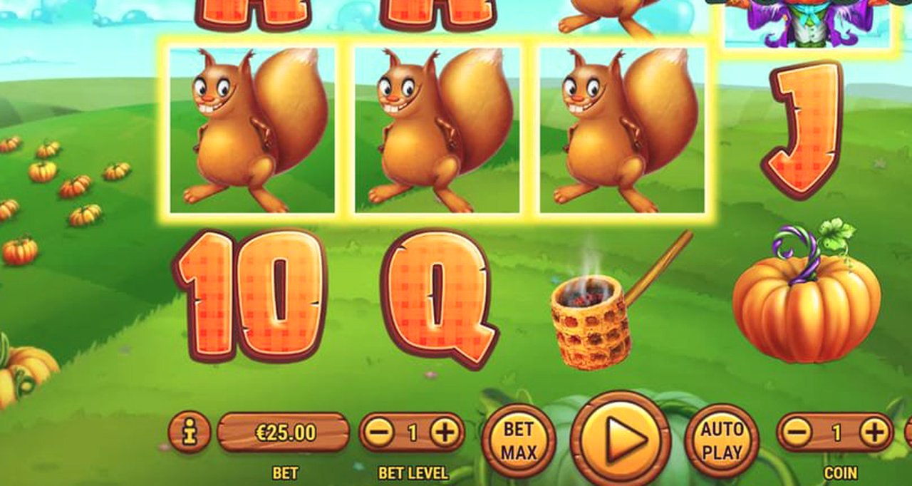 Pumpkin Patch · Giao diện ứng dụng MM99